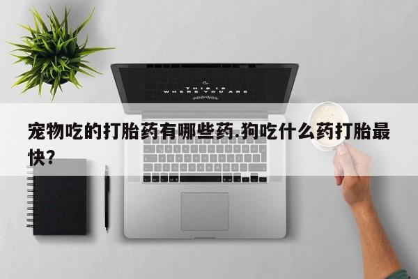 打胎药专卖打胎药专门卖店微信宠物吃的打胎药有哪些药.狗吃什么药打胎最快？